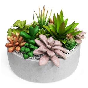 Potted Faux Succulent DYI kit 🪴🌱